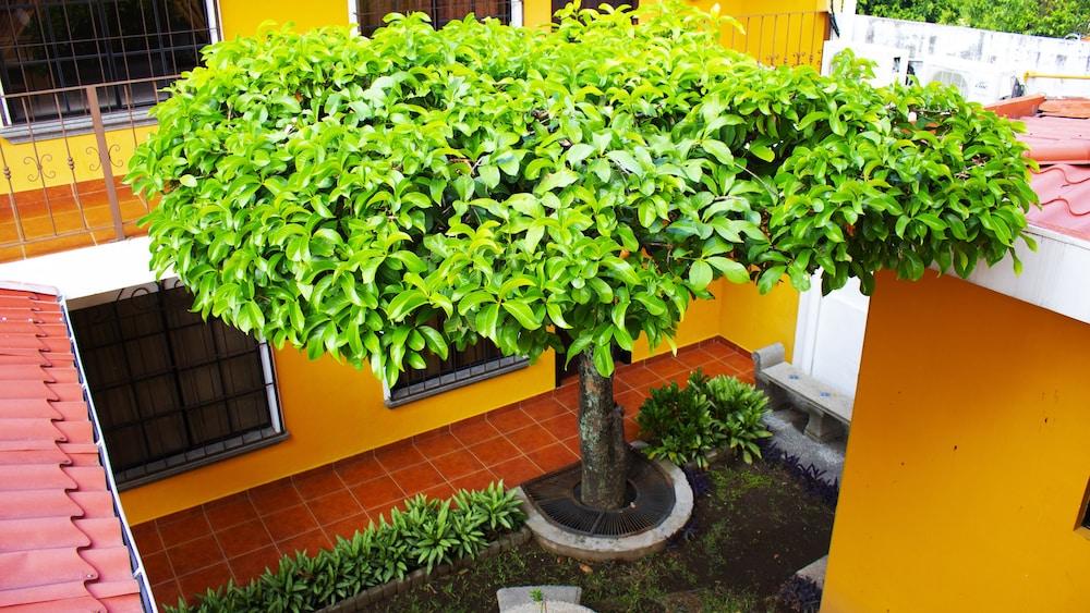 Hotel Villa Terra San Salvador Exterior foto